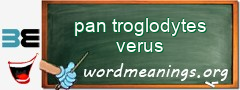 WordMeaning blackboard for pan troglodytes verus